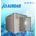 Professional Cold Room/Freezer with PU Sandwich Panel in Changzhou